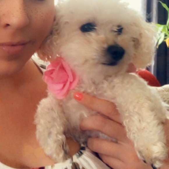 Meet your Posher, Jen - Picture 2 of 2